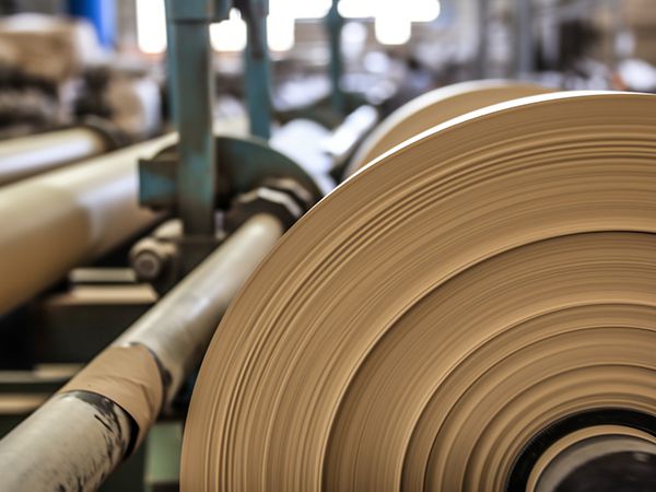 Accesorios ranurados de tubería para Fábrica de pulpa y papel