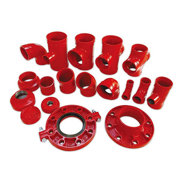 Amplia cartera de productos